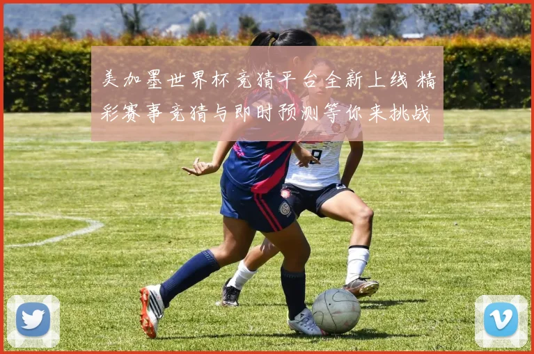 美加墨世界杯竞猜平台全新上线 精彩赛事竞猜与即时预测等你来挑战