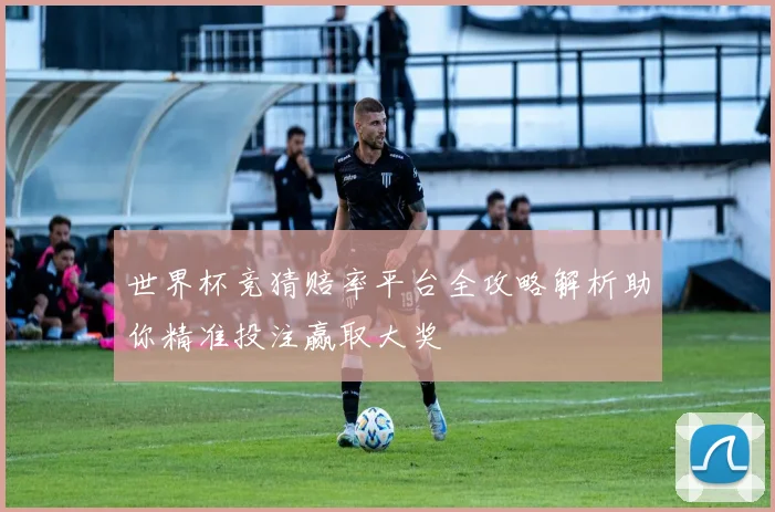 世界杯竞猜赔率平台全攻略解析助你精准投注赢取大奖